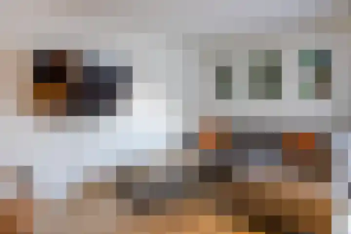 Uitoord 41 Breda thumbnail 6