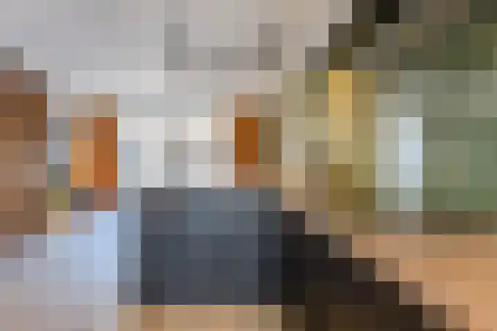 Uitoord 41 Breda thumbnail 9