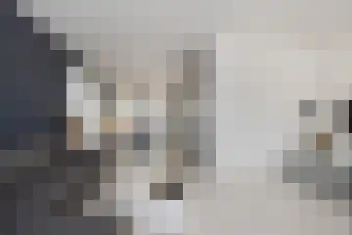 Uitoord 46 Breda thumbnail 11