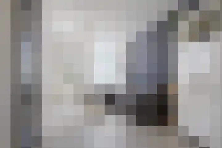 Uitoord 46 Breda thumbnail 12