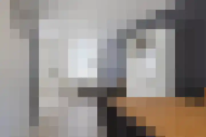 Uitoord 46 Breda thumbnail 13