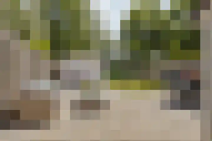 Uitoord 46 Breda thumbnail 30