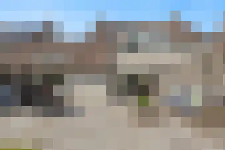 Uitoord 46 Breda thumbnail 32