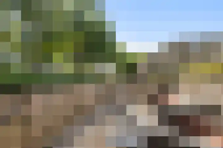 Uitoord 46 Breda thumbnail 34
