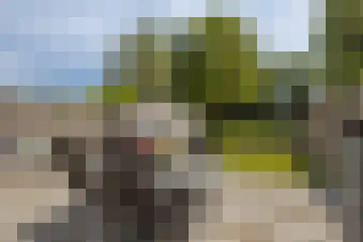 Uitoord 46 Breda thumbnail 5