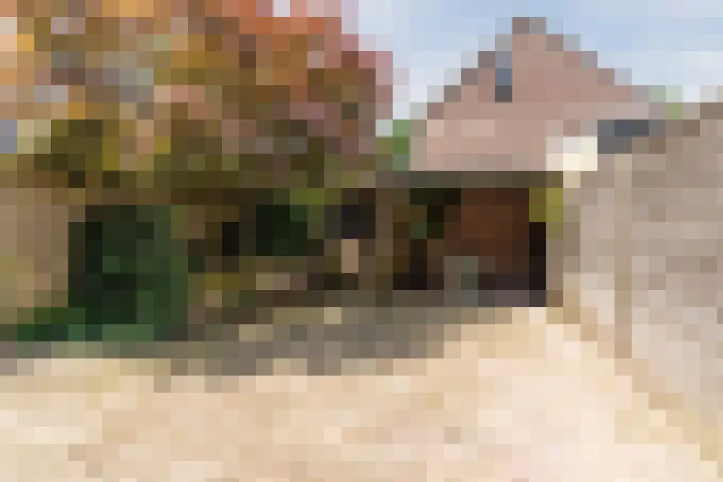 Uitoord 67 Breda thumbnail 25