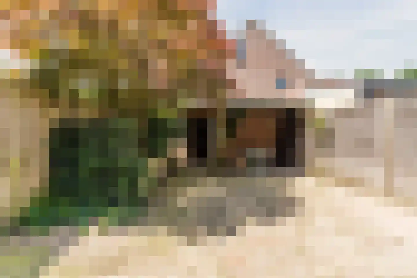 Uitoord 67 Breda thumbnail 4