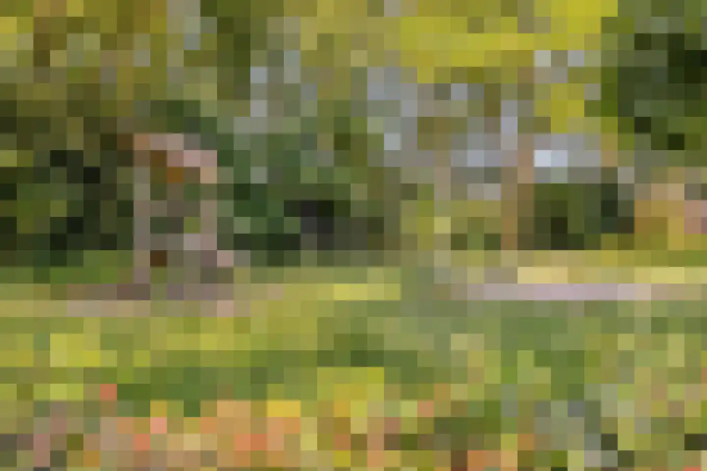 Uitoord 91 Breda thumbnail 28