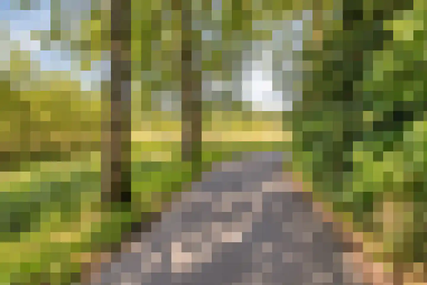 Uitoord 91 Breda thumbnail 29