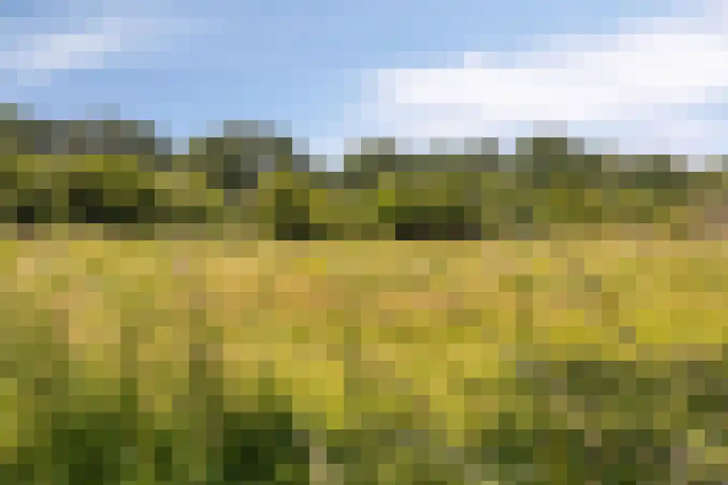 Uitoord 91 Breda thumbnail 30