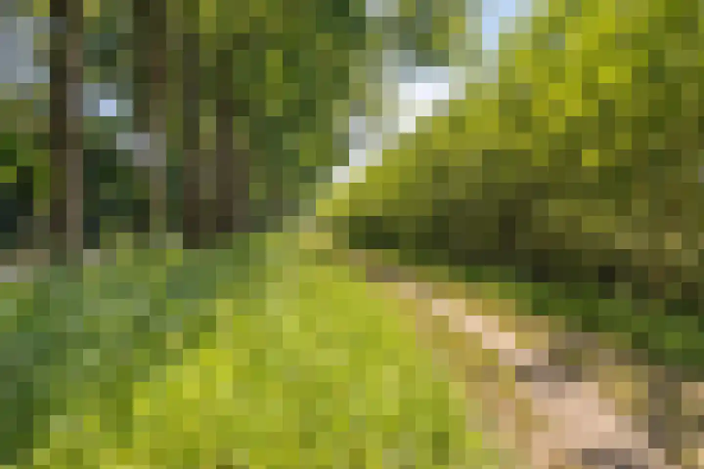 Uitoord 91 Breda thumbnail 31