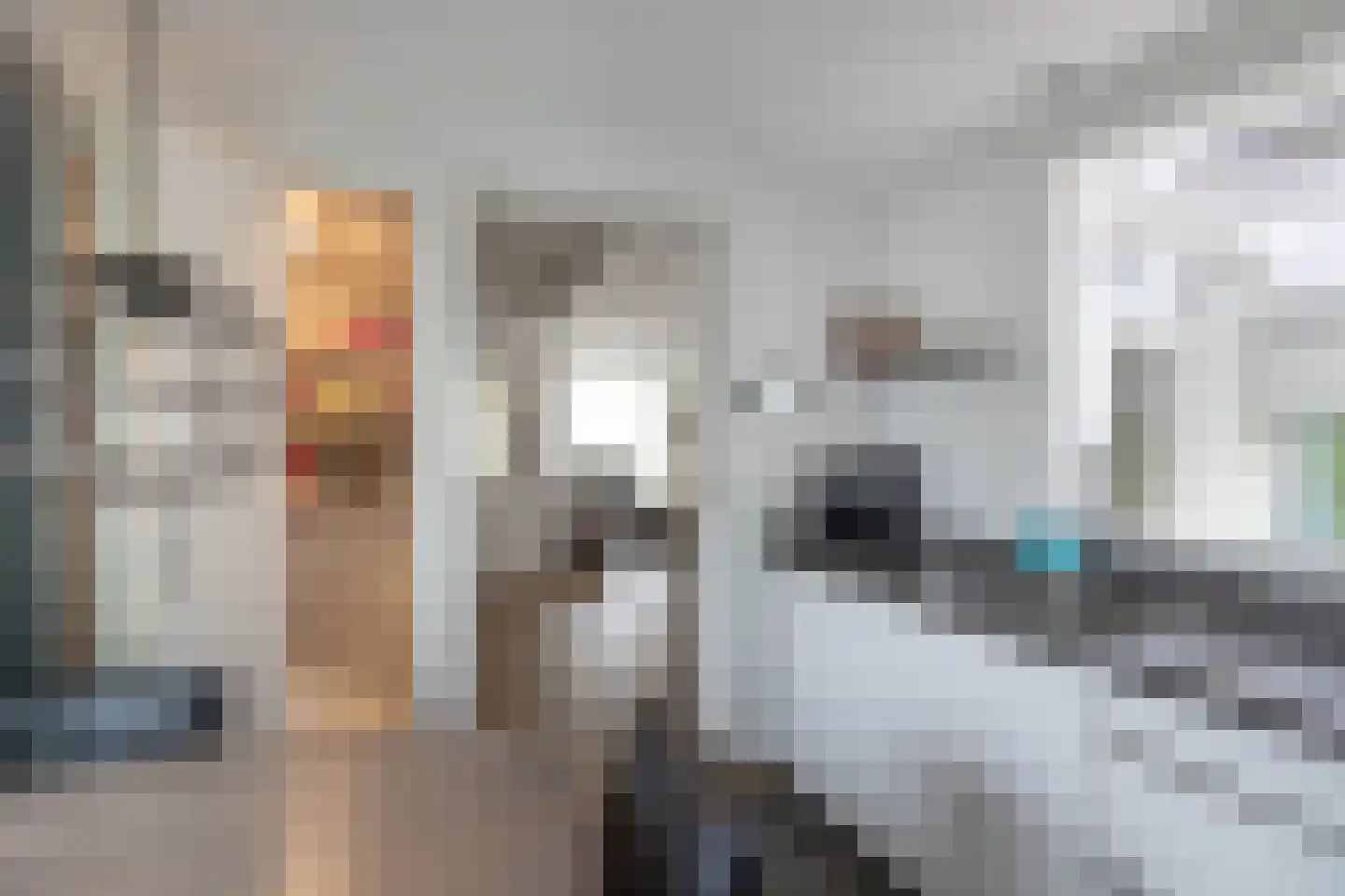 Uitslagsweg 98 A Hengelo thumbnail 11