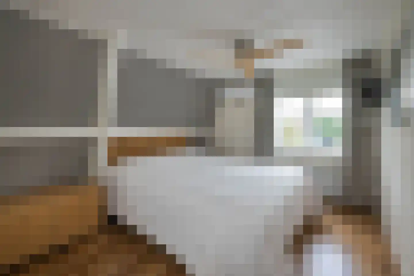 Uitslagsweg 98 A Hengelo thumbnail 20