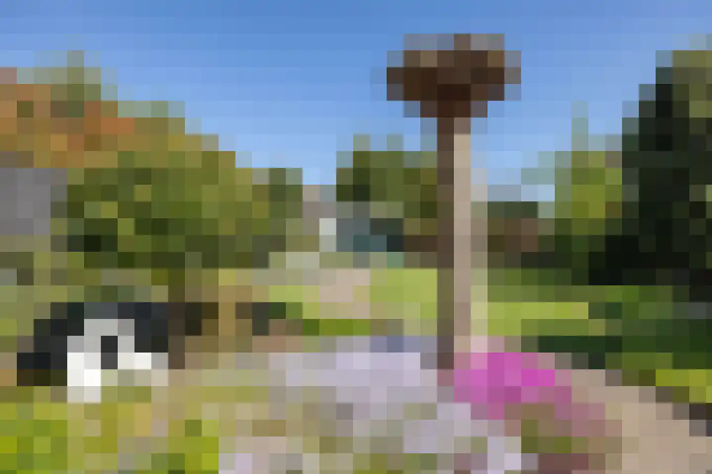 Uitslagsweg 98 A Hengelo thumbnail 31