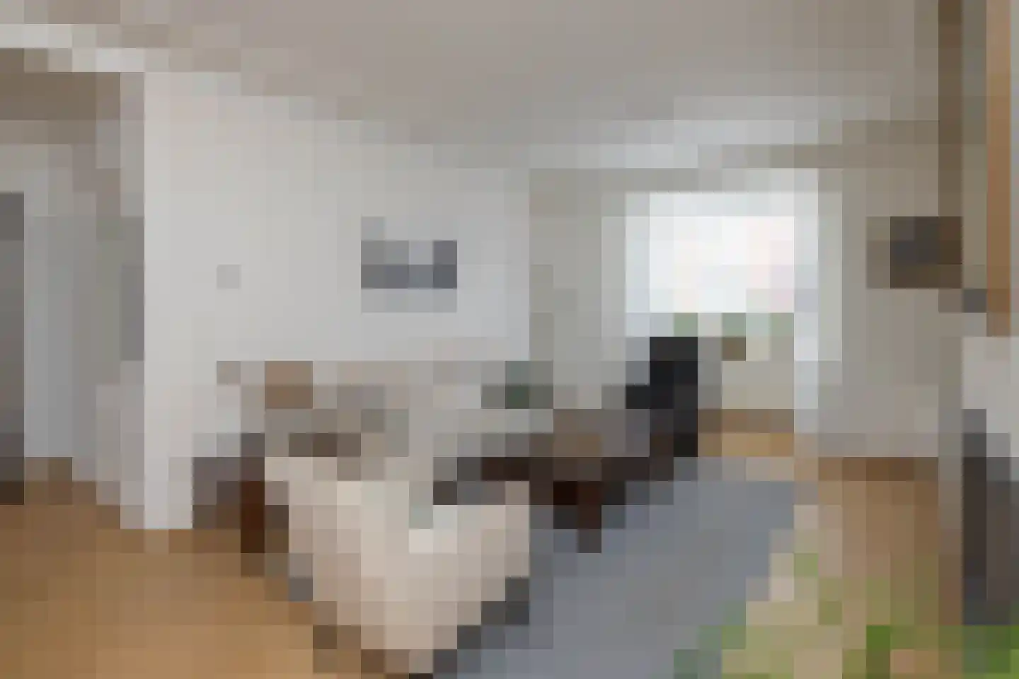 Uitslagsweg 98 A Hengelo thumbnail 4