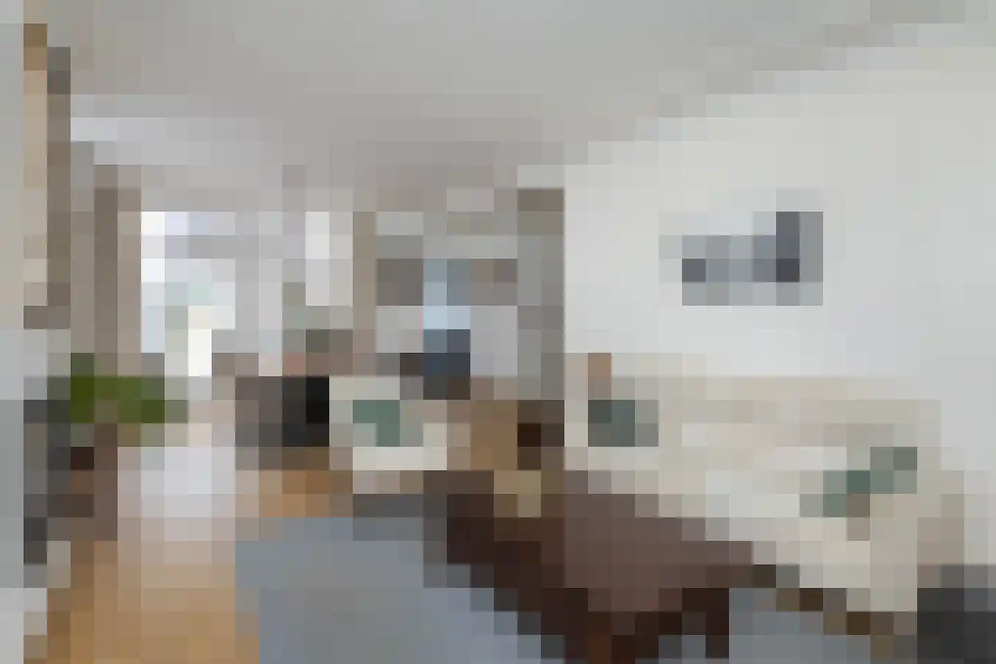 Uitslagsweg 98 A Hengelo thumbnail 5