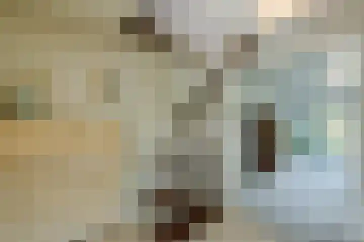 Uitspanning 10 Mijdrecht thumbnail 15