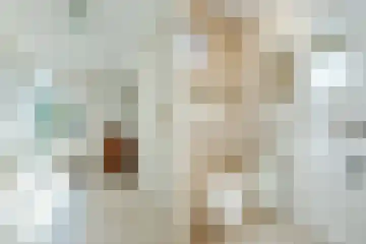 Uitspanning 10 Mijdrecht thumbnail 17