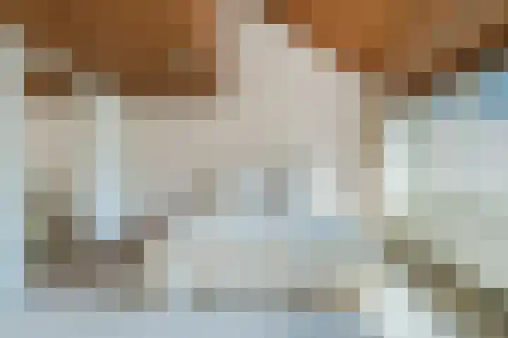 Uitspanning 10 Mijdrecht thumbnail 19