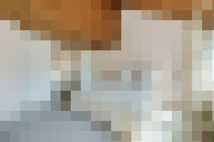 Uitspanning 10 Mijdrecht thumbnail 20