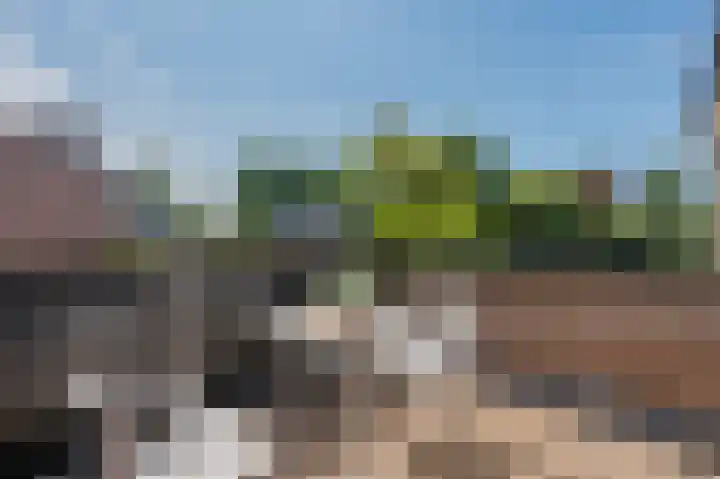 Uitspanning 10 Mijdrecht thumbnail 23