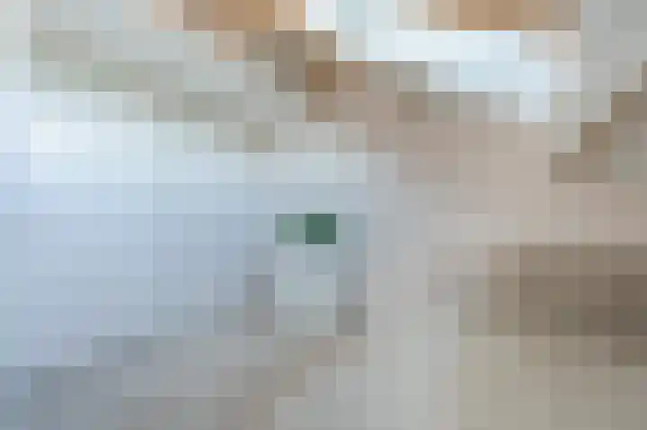 Uitspanning 10 Mijdrecht thumbnail 27