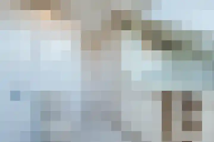 Uitspanning 10 Mijdrecht thumbnail 28
