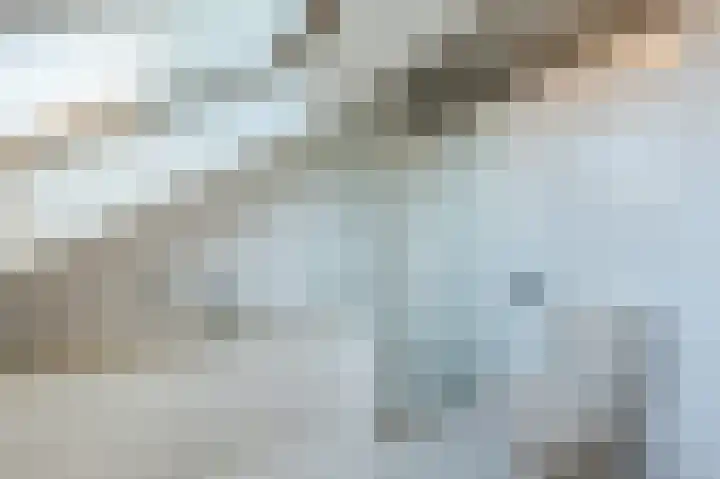 Uitspanning 10 Mijdrecht thumbnail 30