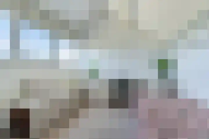 Uitspanning 10 Mijdrecht thumbnail 36