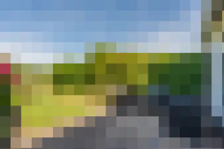 Uitspanning 10 Mijdrecht thumbnail 39