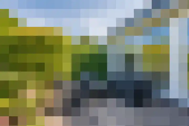Uitspanning 10 Mijdrecht thumbnail 40
