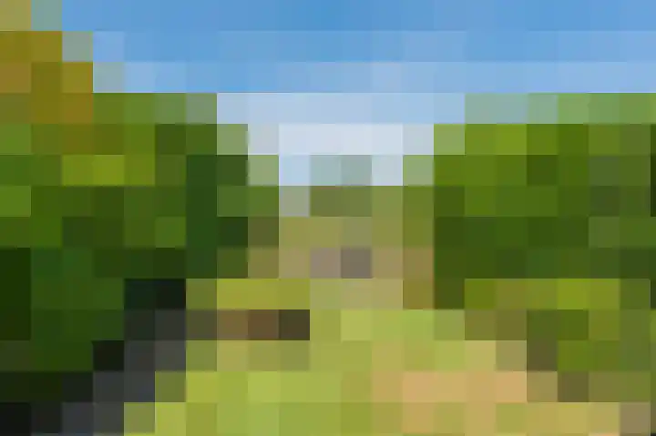 Uitspanning 10 Mijdrecht thumbnail 41