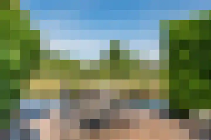 Uitspanning 10 Mijdrecht thumbnail 42