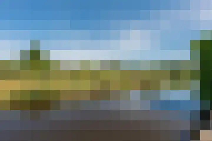 Uitspanning 10 Mijdrecht thumbnail 43
