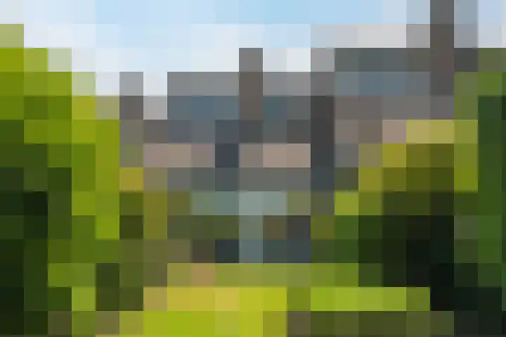 Uitspanning 10 Mijdrecht thumbnail 44