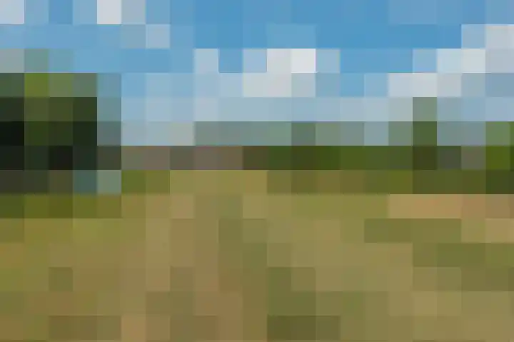 Uitspanning 10 Mijdrecht thumbnail 47