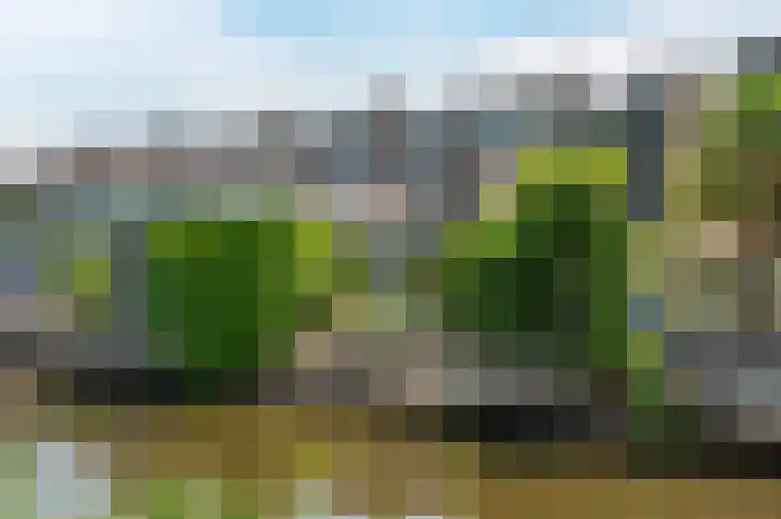 Uitspanning 10 Mijdrecht thumbnail 52