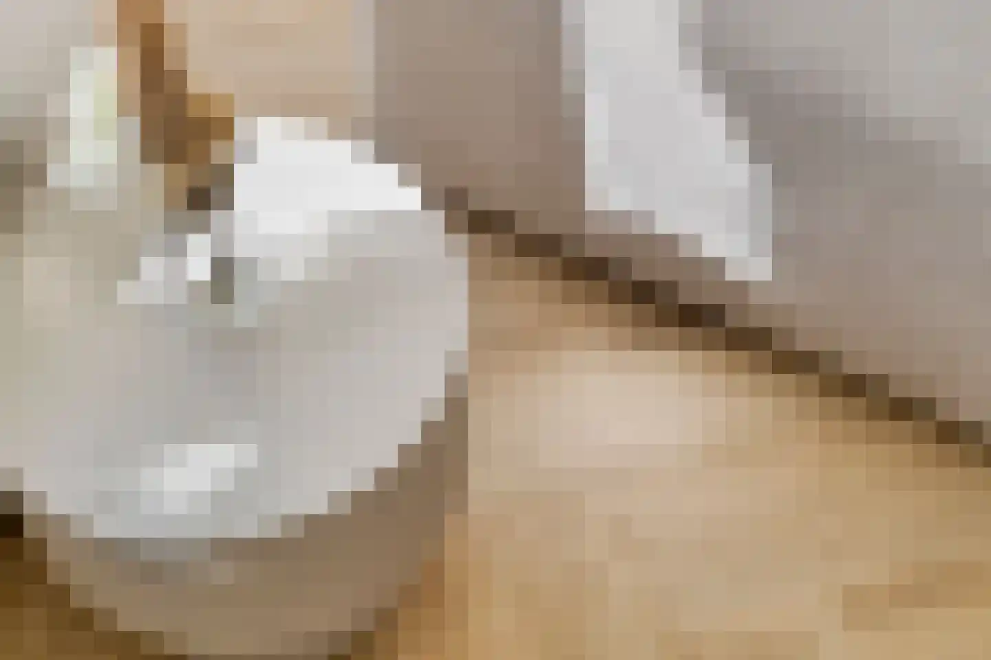 Uitspanning 11 Mijdrecht thumbnail 10