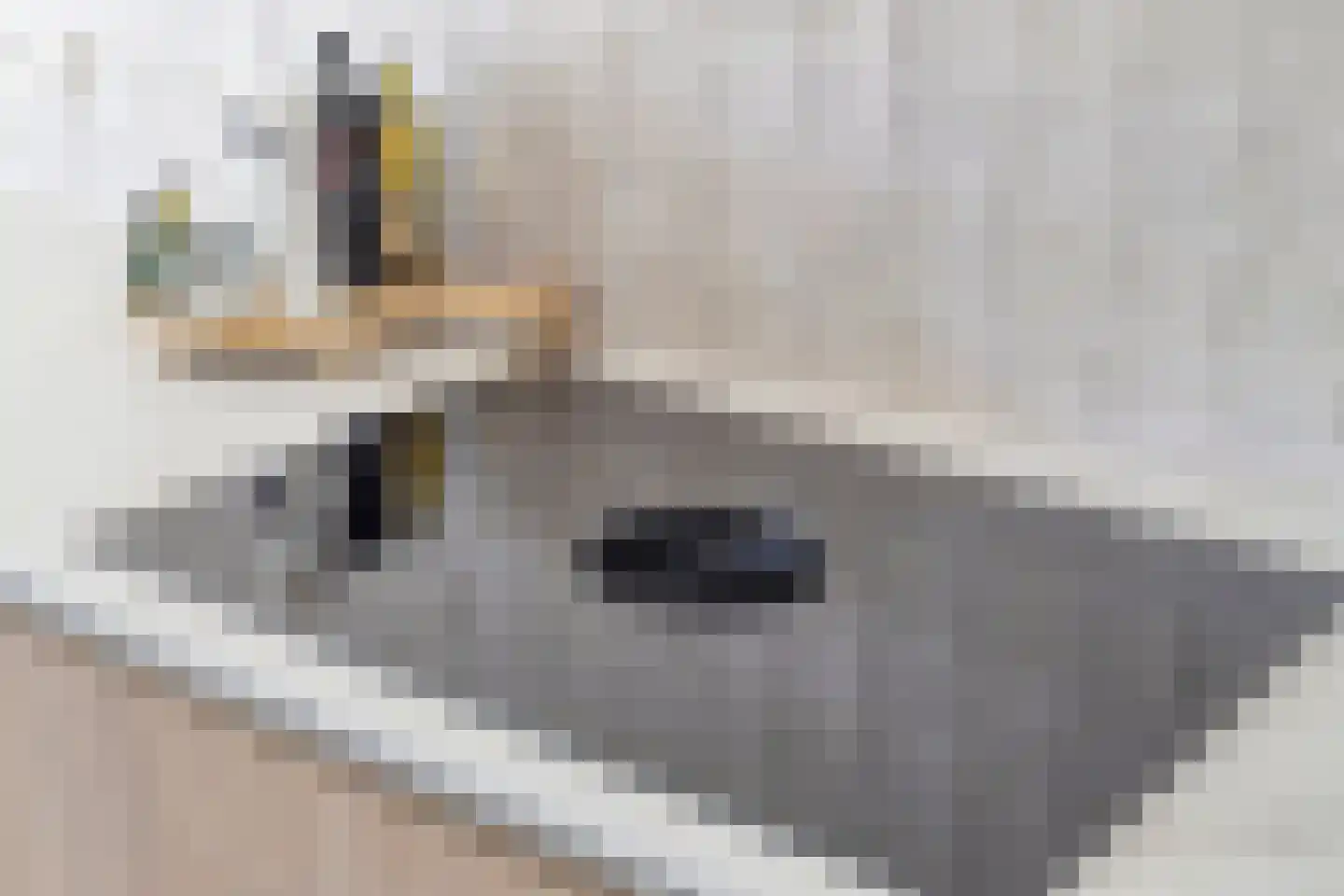 Uitspanning 11 Mijdrecht thumbnail 12