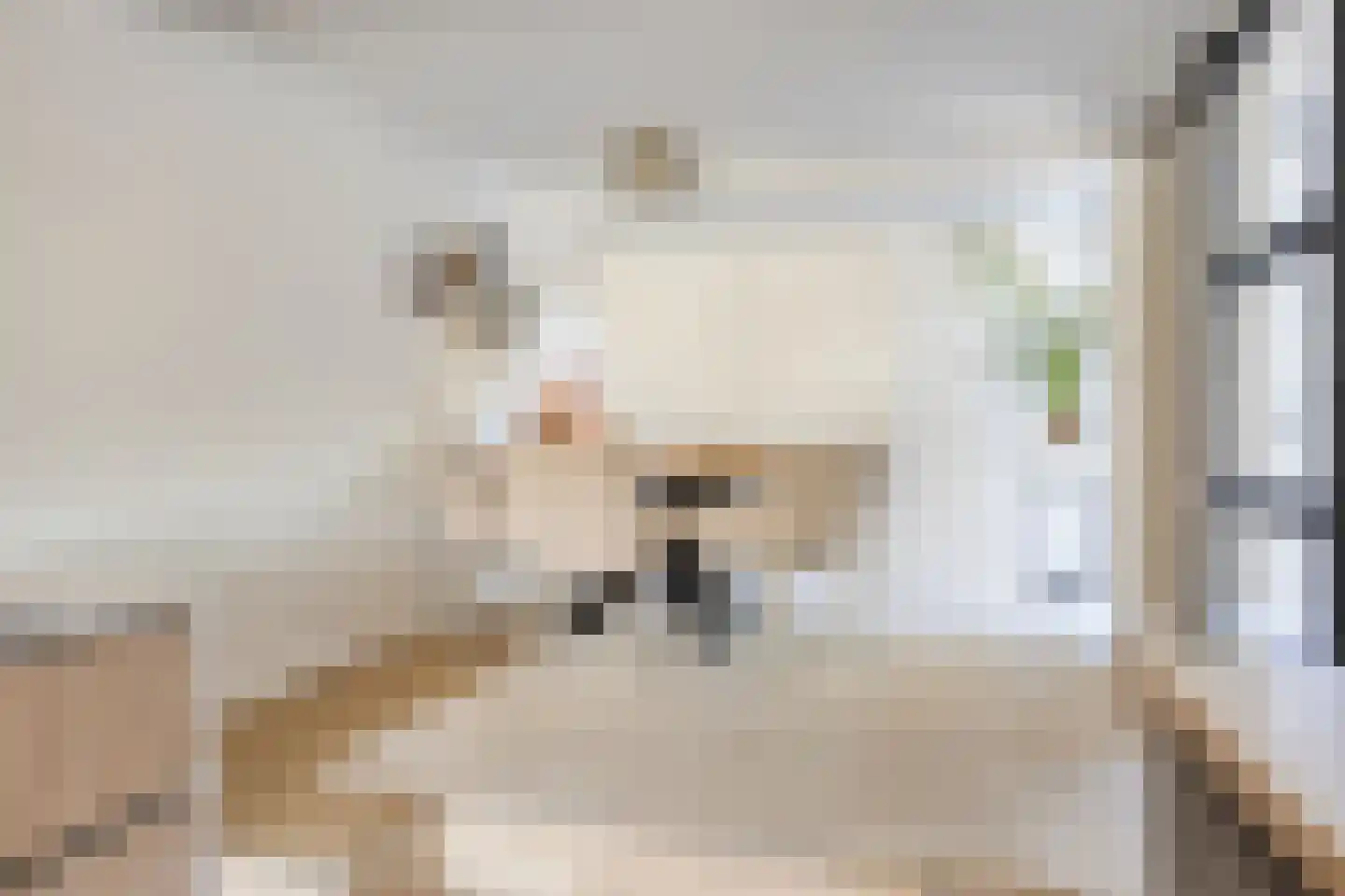 Uitspanning 11 Mijdrecht thumbnail 14