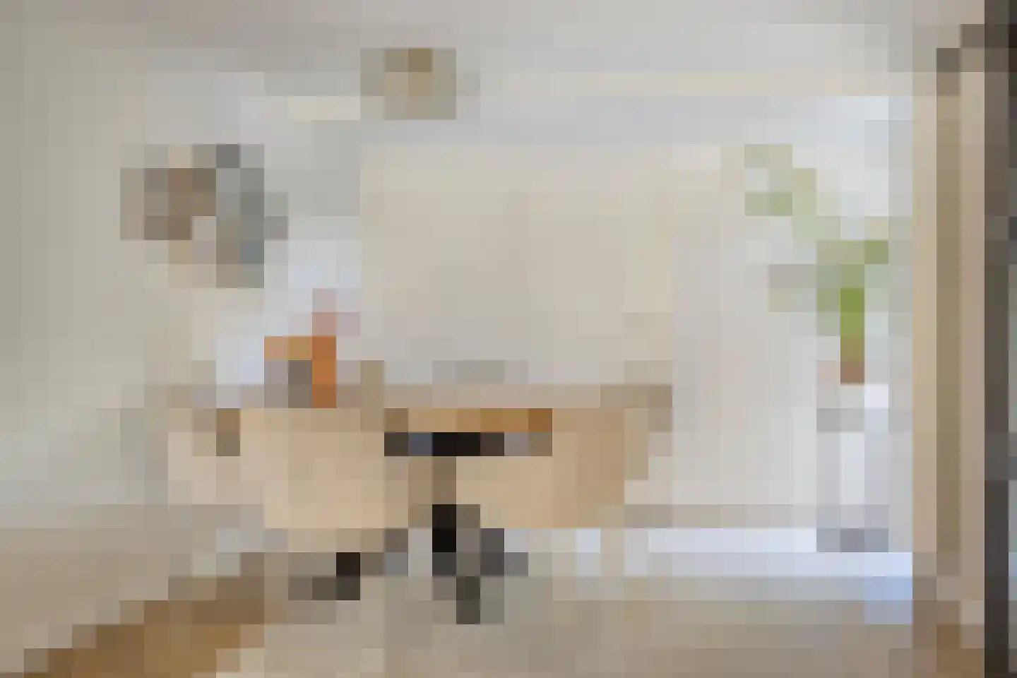 Uitspanning 11 Mijdrecht thumbnail 15