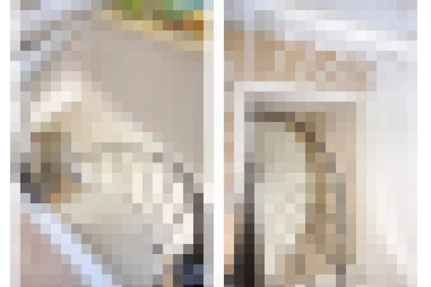 Uitspanning 11 Mijdrecht thumbnail 18
