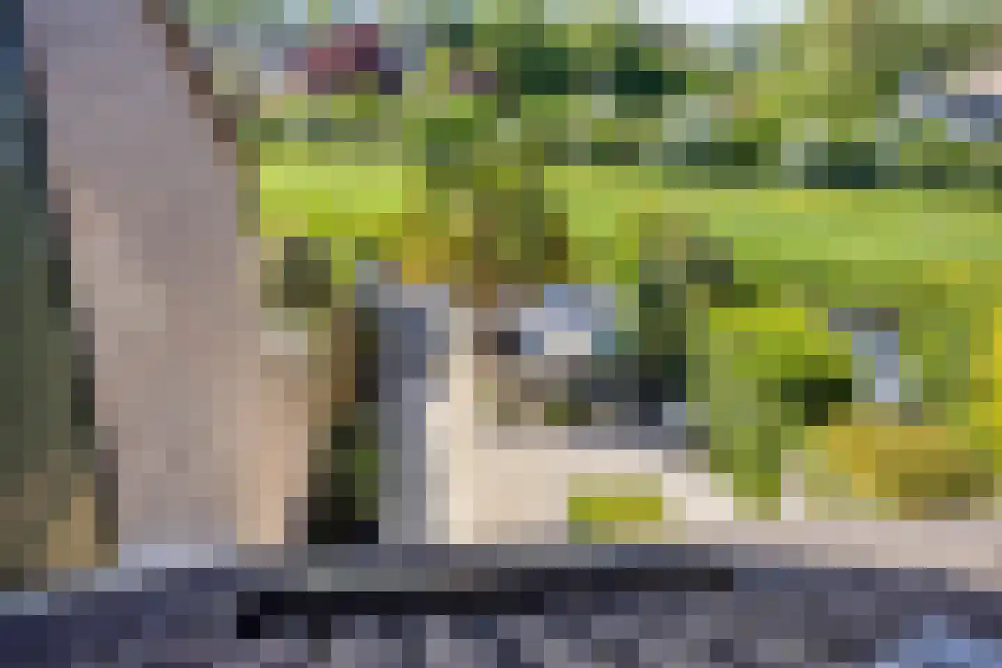Uitspanning 11 Mijdrecht thumbnail 33