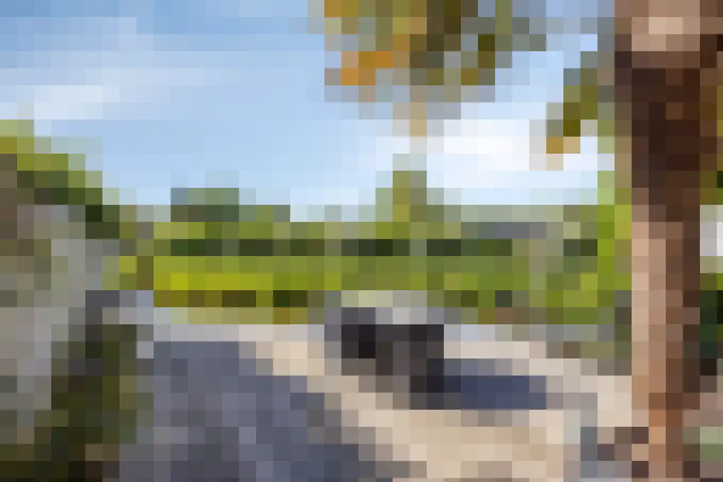 Uitspanning 11 Mijdrecht thumbnail 36
