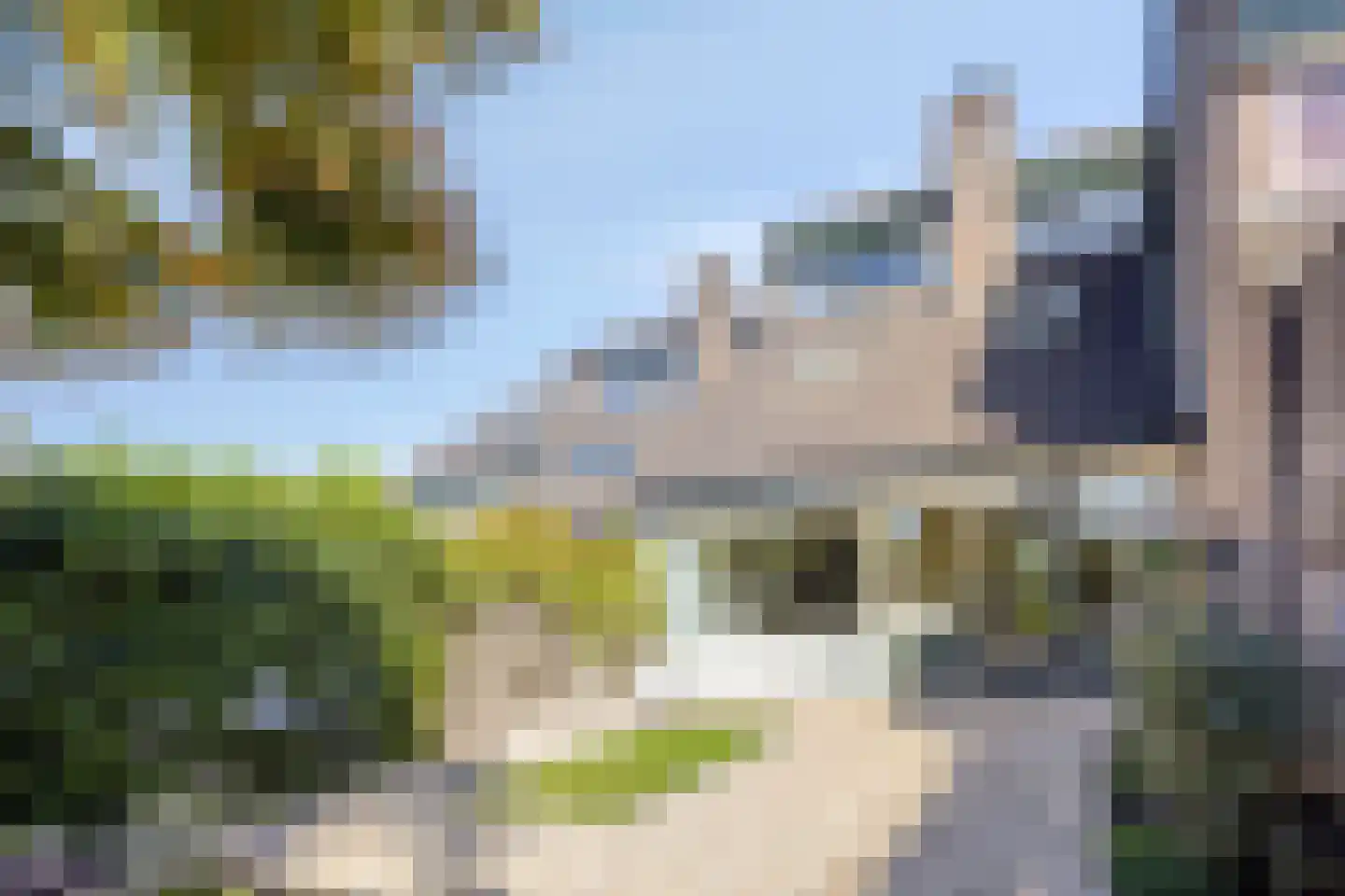 Uitspanning 11 Mijdrecht thumbnail 38