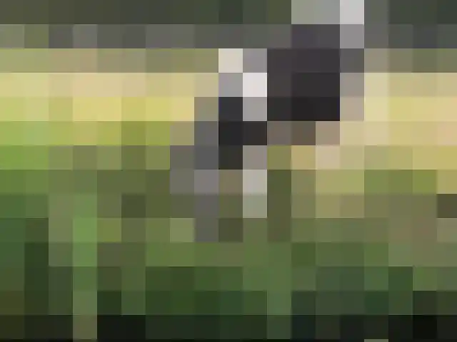 Uitspanning 11 Mijdrecht thumbnail 42