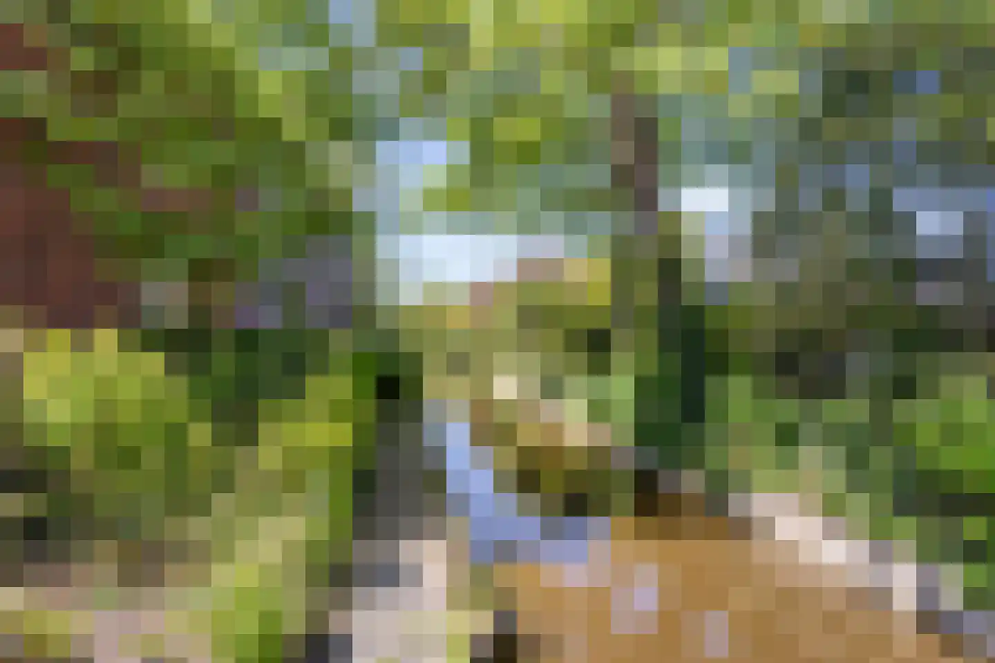 Uitspanning 11 Mijdrecht thumbnail 43