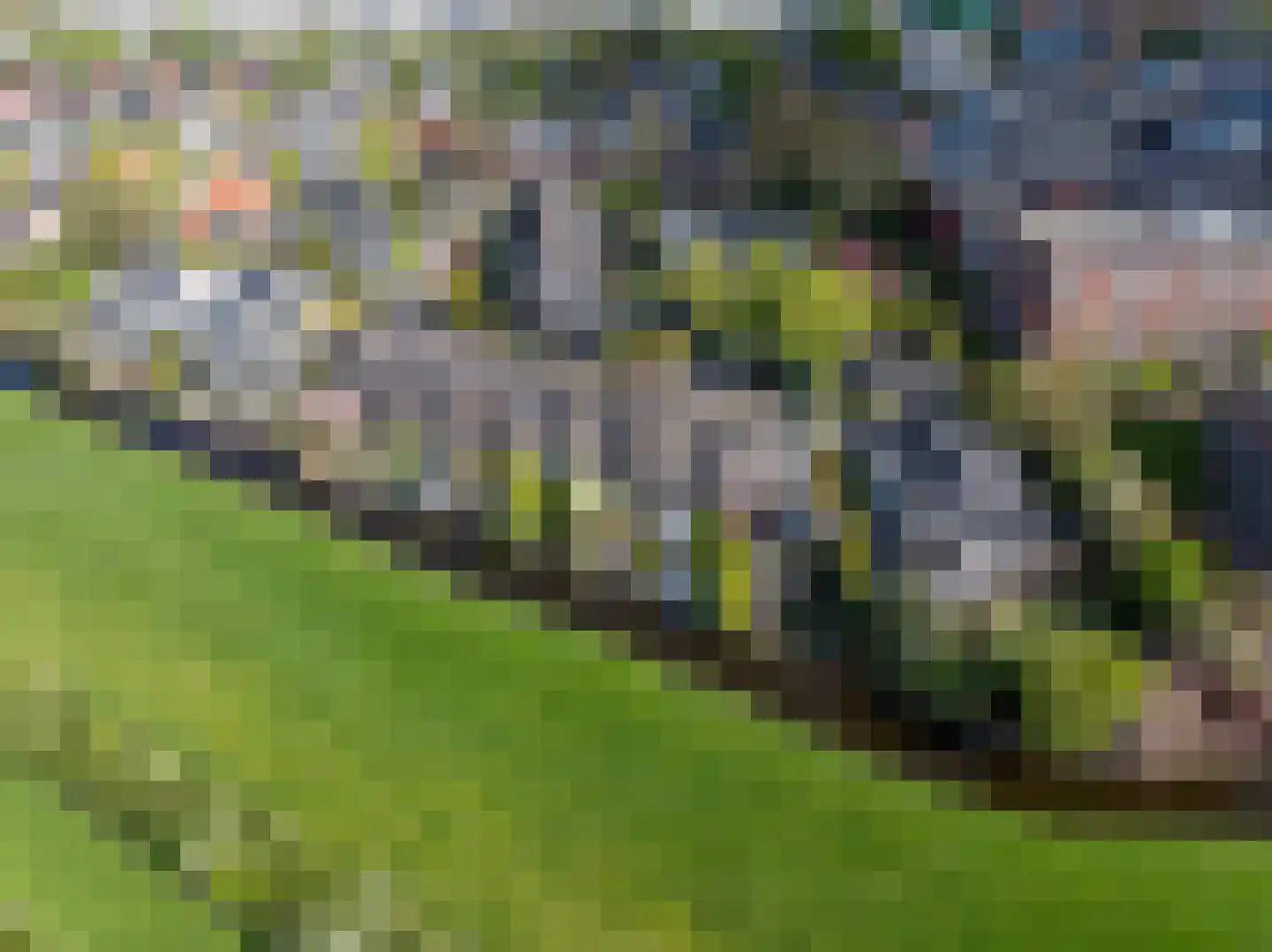 Uitspanning 11 Mijdrecht thumbnail 44