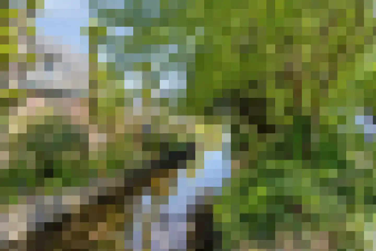 Uitspanning 11 Mijdrecht thumbnail 44