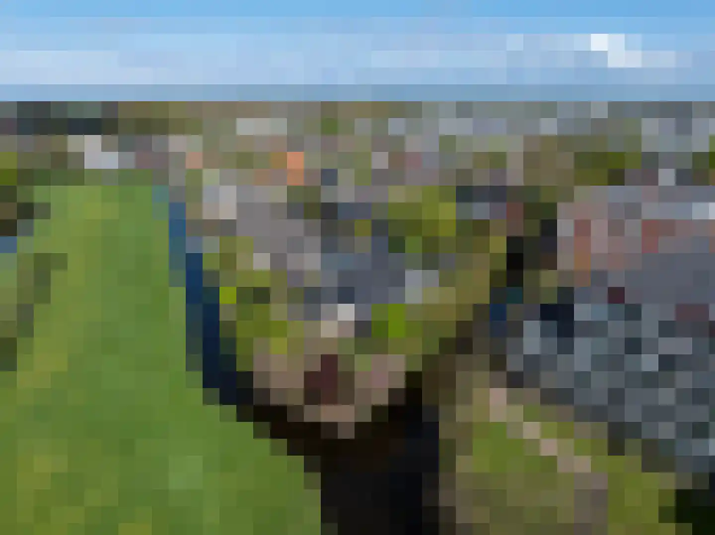 Uitspanning 11 Mijdrecht thumbnail 45